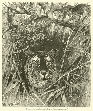 "Disturbed in his afternoon's sleep by chattering monkeys" (engraving)