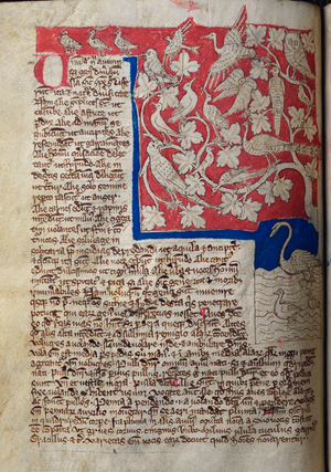 CCA-LitMs/D/10 fol. 12v Birds, from Bestiary (imperfect), early 14th century (parchment)