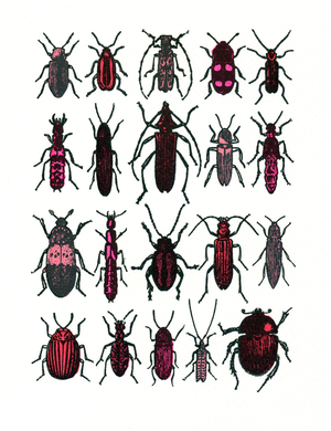 Beetles- red, 2013 (screen print)