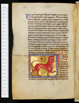 The Ashmole Bestiary, Pard,1201-1225 (illuminated manuscript)