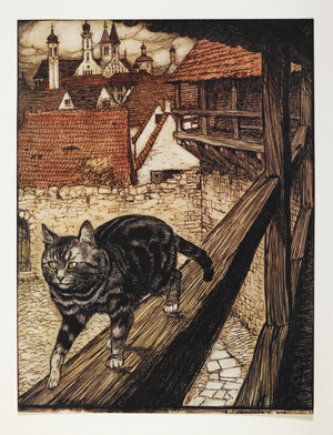 A tabby cat walking along the wooden rail of a building, 1909 (print)