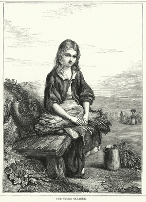The Young Gleaner (engraving)