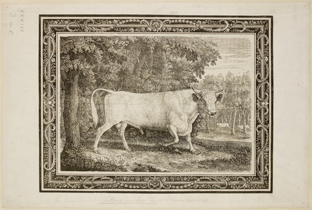 The Wild Bull at Chillingham Castle, engraved on wood