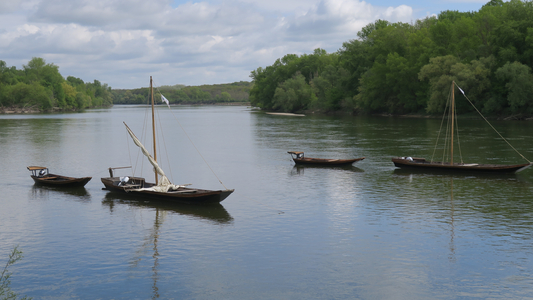 LA LOIRE