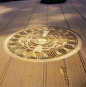 Crop circle in wheat field, Wayland's Smithy, Uffington, Oxfordshire, 9th August 2005 (aerial photograph)
