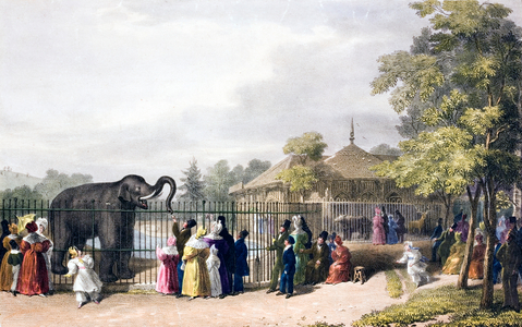 Visitors to London Zoo, Regent's Park, in Victorian times (colour litho)
