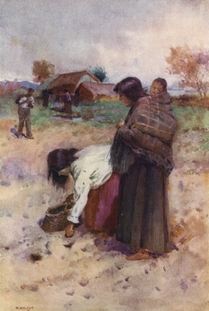 New Zealand: Planting Potatoes (colour litho)