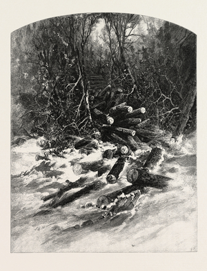 The Rollway, Lumbering, Canada, Nineteenth Century Engraving