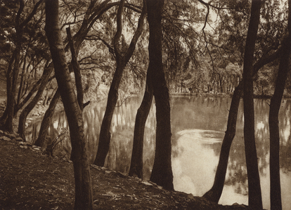 Mexico: Las fuentes de Tlalpam D F (b/w photo)