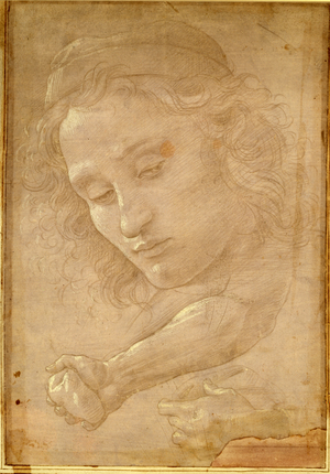 Head of a youth, drawing from a page of 'Libro dei Desegni' by Georgio Vasari (1511-74) mounted and framed after 1524 (metalpoint on paper) (detail of 36660)