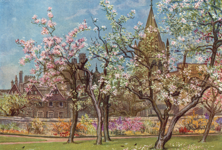 Oxford Gardens: Christ Church from the Garden (colour litho)