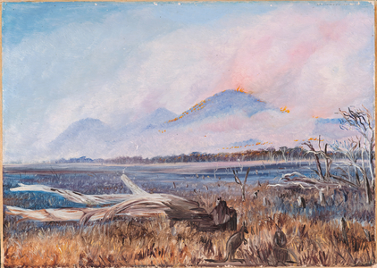 A bush fire at sunset, Queensland, 1880 (oil on board)