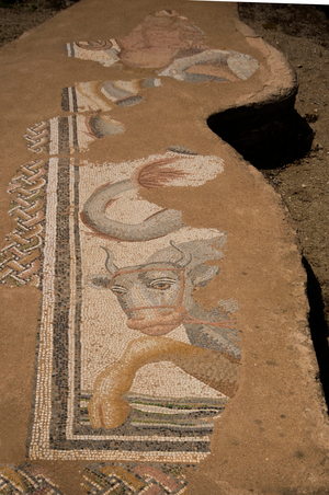 Greece, Dion, Archaeological Park, The Great Baths, floor mosaic.