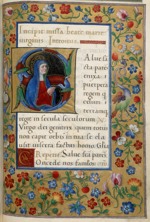 Historiated initial 'S'(ancta) of the Virgin Mary, with a full scatter border including flowers, a snail and grotesque hybrid creatures