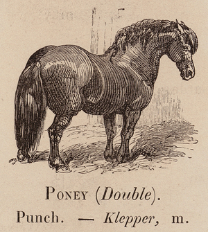 Le Vocabulaire Illustre: Poney (Double); Punch; Klepper (engraving)
