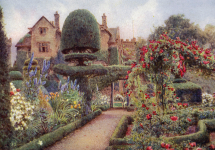 Delphiniums in the Herbaceous Border at Levens Hall (colour litho)