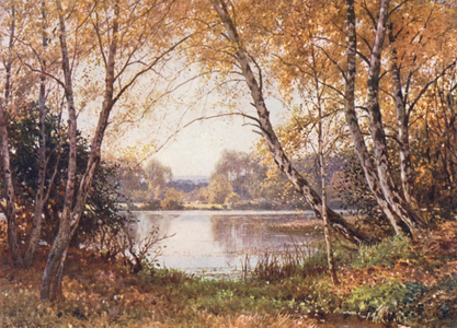 The Verge of the Pond, Royal Common (colour litho)