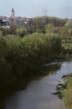 The town of Enns on the Danube, Austria (photo)