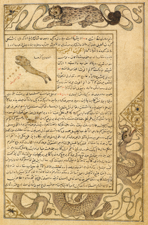 Piscis Australis. Marginal drawings of dragons and animals. Illustrations to a treatise on astrology