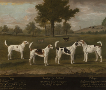 Two Couples of Foxhounds in a Park Landscape with two Terriers
