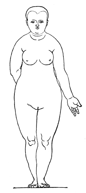 Matron (front view). By Albrecht Dürer
