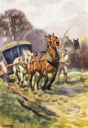 Illustration for Black Beauty by Anna Sewell (colour litho)