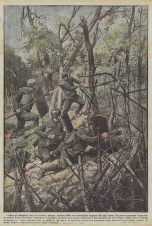 In addition to the nets stretched between the trunk and the trunk, there were metal nets arranged in every direction (colour litho)