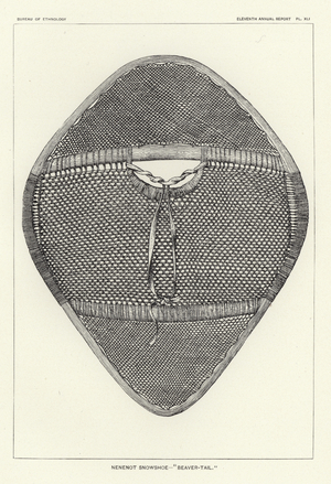 Nenenot snowshoe - 'Beaver-Tail' (engraving)