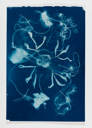 Out of the Blue 19, 2020 (cyanotype)