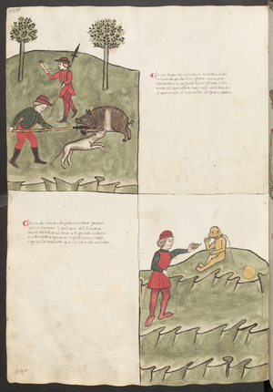 Full page: text and miniatures: " Carne di porcho salvatico " with a boar hunt (miniature)