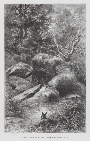 The Insect: The Forest of Fontainebleau (engraving)