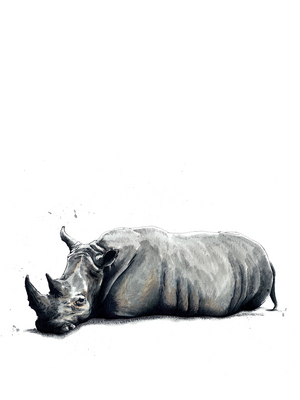 The Rhino on White, 2019, (pen and ink)