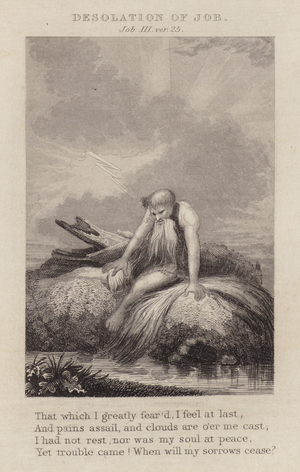Desolation of Job, Job III, ver 25 (engraving)