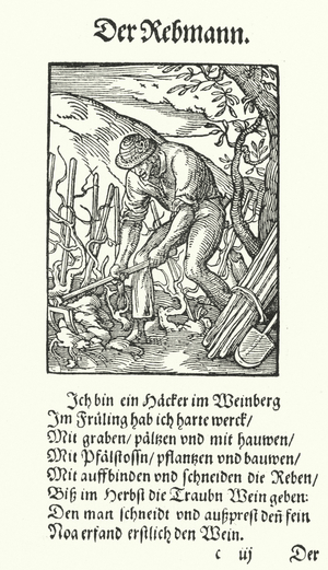 The Vine Grower (engraving)
