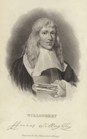 Francis Willughby (engraving)