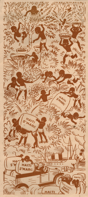 Cutlure du cafe en Haiti. Coffees' harvest in Haiti.
