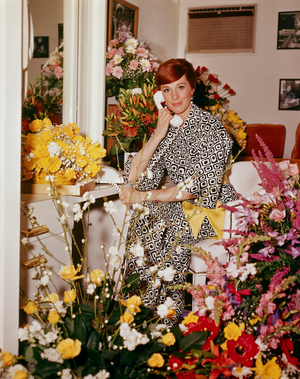 Julie Andrews (photo)
