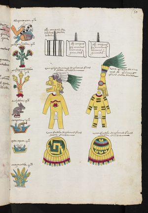 Tribute from the Province of Tlapacoyan. Codex Mendoza, 1541-1650 (pictorial manuscript)