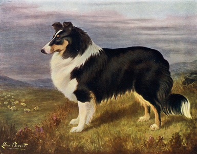 The Reverend Hans F Hamilton's Wcodmansterne Derek (colour litho)