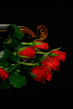 Violin scroll with