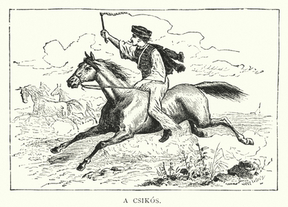 A Csikos (engraving)