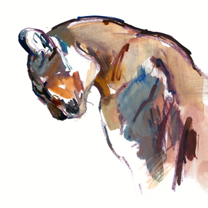 Puma (profile), 2025 (mixed media on paper)