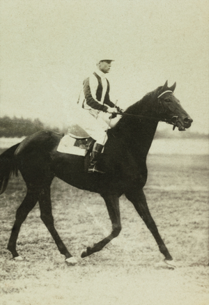Portrait du jockey O Neil (photo)