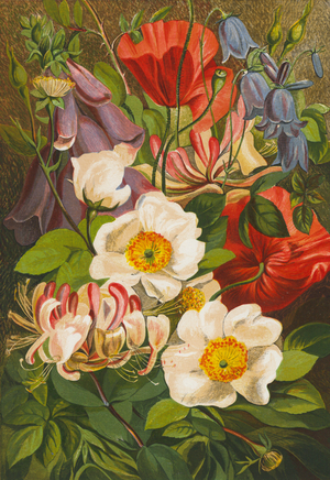Summer flowers (colour litho)