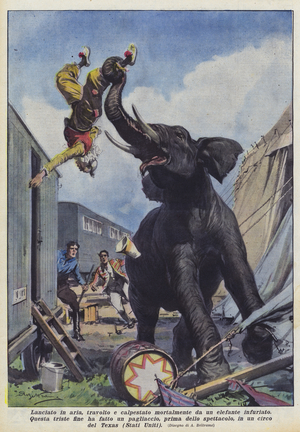 Launched into the air, overwhelmed and fatally trampled by an angry elephant (colour litho)