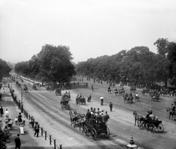 Horse traffic on Rotten Row, London, c.1900 (b/w photo)