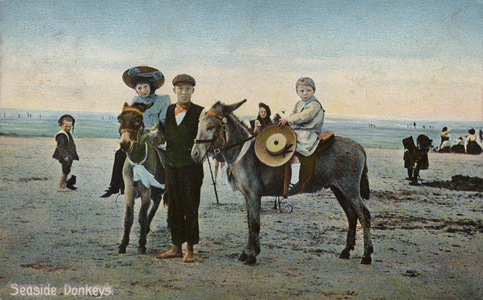 Seaside Donkeys (photo)