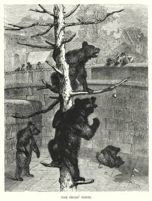 The Bears' Ditch (engraving)