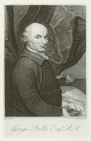 George Stubbs, Esq, RA (b/w photo)