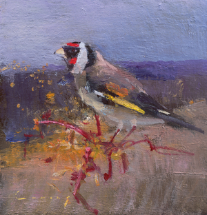 Gold Finch (oil on board)
